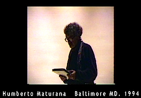 maturana1994