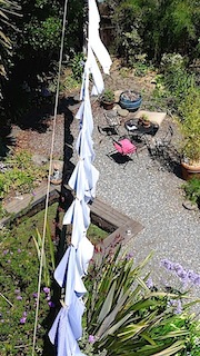 sfclthesline